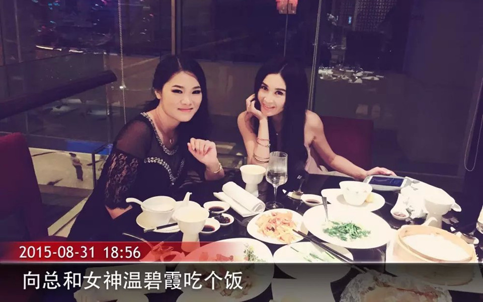 向大大品牌发布会
