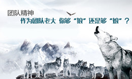 领导者如何塑造狼性团队?