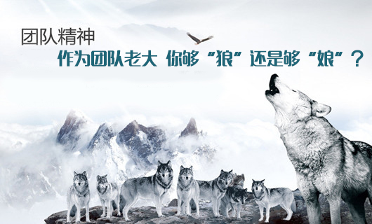 领导者如何塑造狼性团队?