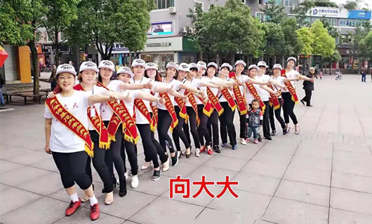 向大大团队